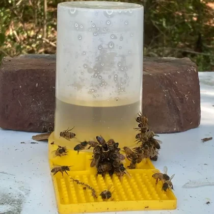 Réserve d'eau automatique pour abeilles et pollinisateurs